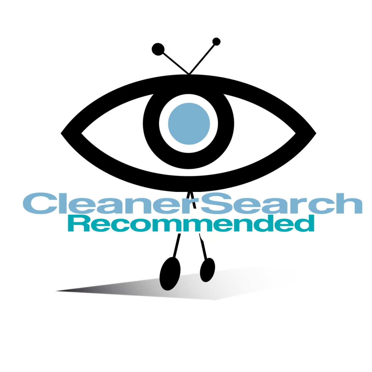 search for a local cleaner thats recommended